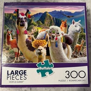 300 piece puzzle